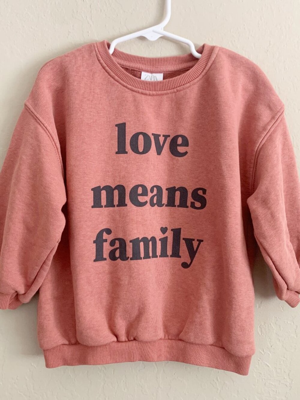 Zara Sweatshirt • Love Means Family • 3/4 Years